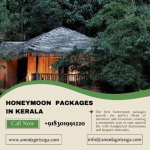 Honeymoon Packages in Kerala