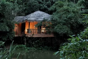 Honeymoon Packages in Wayanad