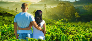 Kerala Honeymoon Packages