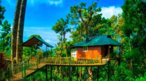 Honeymoon Resort in Munnar